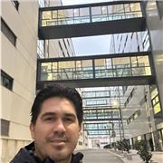 Profesor online imagen medica ( radiologia y medicina nuclear)